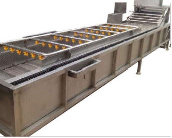 Mushrooms Salad Processing Line / Vegetable And Fruit Washing Equipment