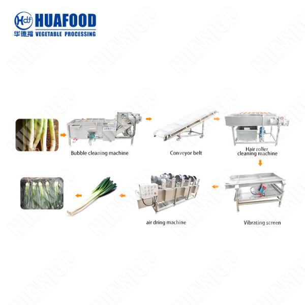 Fruit And Vegetable Processing And Cleaning Line Leaf Vegetables Bubble Washing