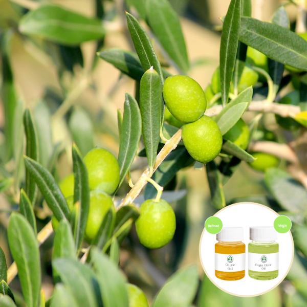 Green Olive Organic Carrier Oils