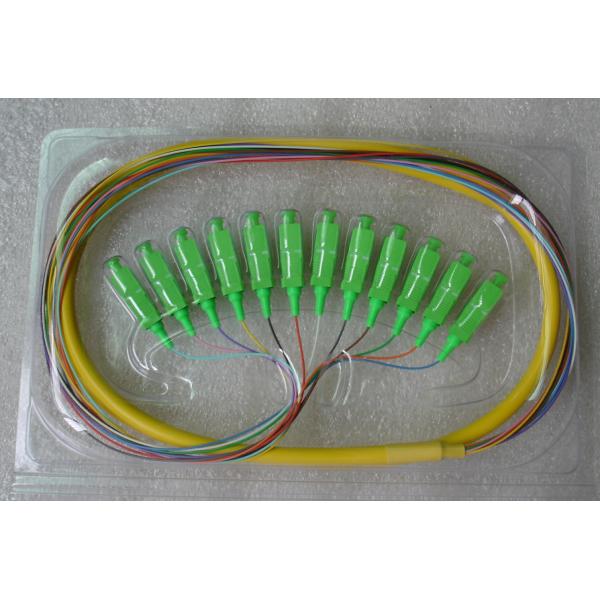 12 FO Multimode / Single Mode Fiber Pigtails Φ0.9mm PVC / LSZH Cable Jacket