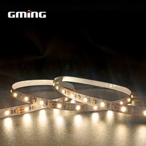 2835 Two Color Temperature Light With Bathroom Mirror Light Corridor Layered