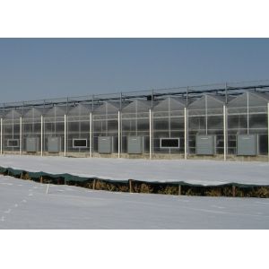 China PC Sheet Cover Material and Commercial Vegetables Seeds Vertical Farming Greenhouse on sale