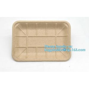 Biodegradable & Compostable 8 inchSquare sugarcane trays,sugarcane pulp