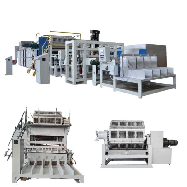 Quality New Wholesale WANYOU Automatic Recycled Paper Egg Tray Machine Pulp Molding Machine PLC Control Touch Screen Panel Bearing Motor Gear wholesale