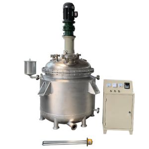Reaction Kettle 1000L Continuous Stirred Tank Resin Reactor with 1 of Core Components