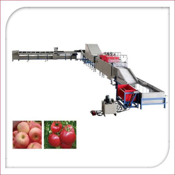 Quality Automatic Electronic Fruit Washing And Waxing Machine 5MT/H wholesale