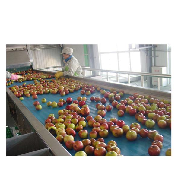 Quality Fully Automatic Vegetable Complete Juice Processing Unit Stainless Steel wholesale