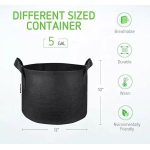 Manufacturers cross - border production batch environmental protection seedling