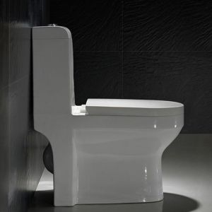 Ada Compliant Dual Flush Toilet Seat 1 Piece 1.28gpf/4.8lpf