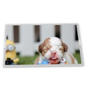 TM035KBH02 320*240 Resolution 3.5-Inch WLED TFT LCD Display Module ODM Suppliers