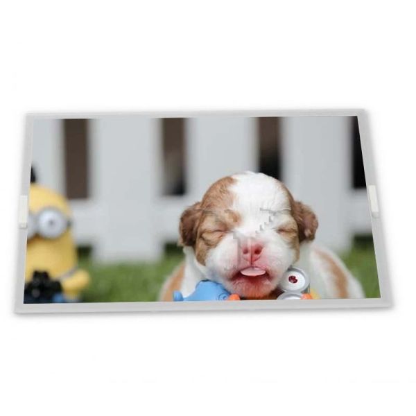 High Resolution 8.0-Inch stock Compatible WLED LCD Display Module 640*480 ODM LM