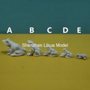 China 1:25model frog-----model animal,model scale figures,scale frog,model stuffs,fake animals,scale animals on sale