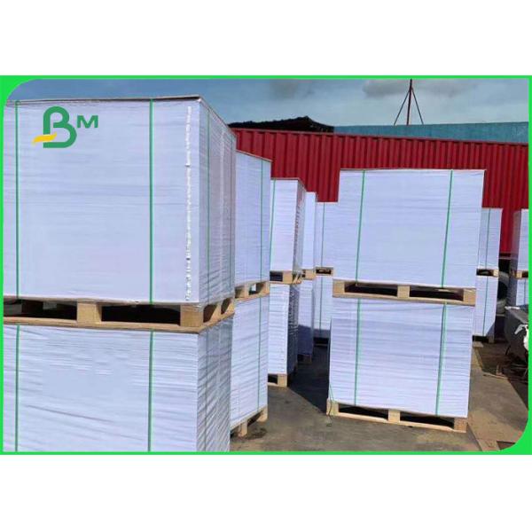 350gsm 0.61mm Food Grade Paper For Snack Tray High Bulky 25 x 30.5 inch