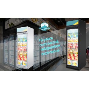 Upright 450L Freezing Ice Cream Glass Door Showcase Freezer