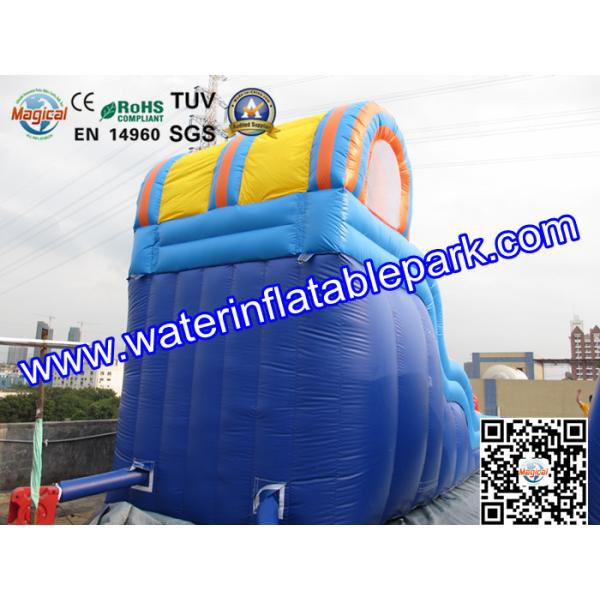 Inflatable Water Slide For Amusement Park / Inflatable Pool Slide