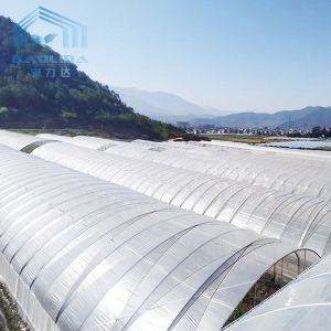 Vegetables Multispan Poly Tunnel Greenhouse With Cooling Ventilation System