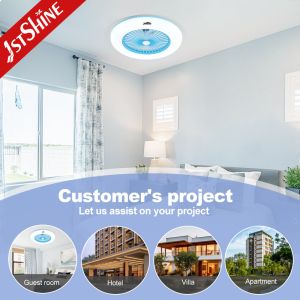 Copper Motor 220V Bedroom Ceiling Fan Light 24 Inch With Box Fan