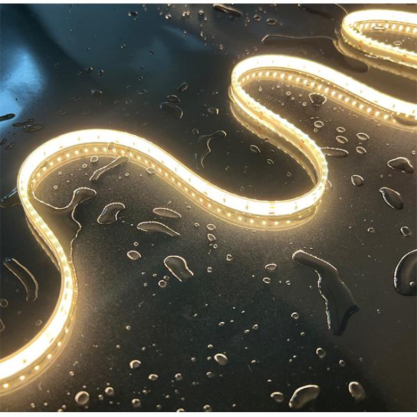 IP68 Waterproof Neon Flex LED Strip Lights Solid PU Swimming Pool LED Strip Lights