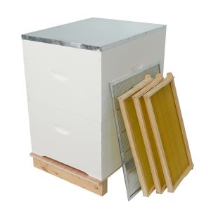 20mm Thickness Plastic Frame Complete Bee Hive Kit With Foundation