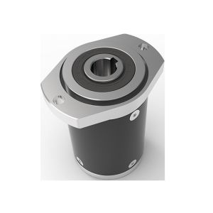 High Torque 147 Nm Hollow Shaft Planetary Gearbox With HNBR Seal Ring