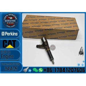 Diesel engine fuel injector 282-0490 2645A709 for 321D excavators engine diesel