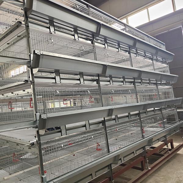 Quality 4 Doors q235 H Type Battery Broiler Equipment 3 Layers Poultry Shed wholesale