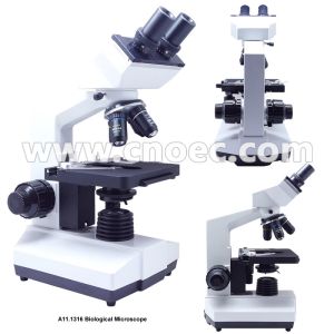 WF10X Double Layers Mechanical Stage Biological Microscope A11.1316 With LED