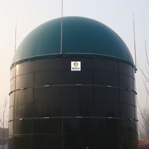 Automatic Tecon Gas Holder Anaerobic Biogas Gas Holder Dual Membrane