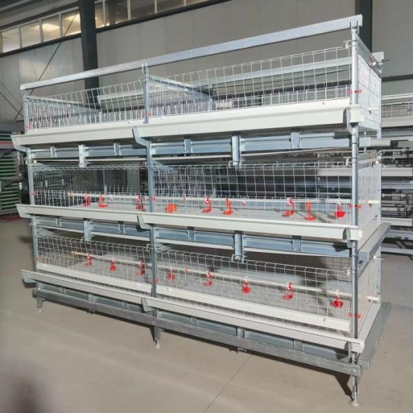 Quality H Type Broiler Chicken Cage 3 Tier 4 Tier With Automatic Feeding System wholesale