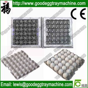 Thermoforming egg tray mould