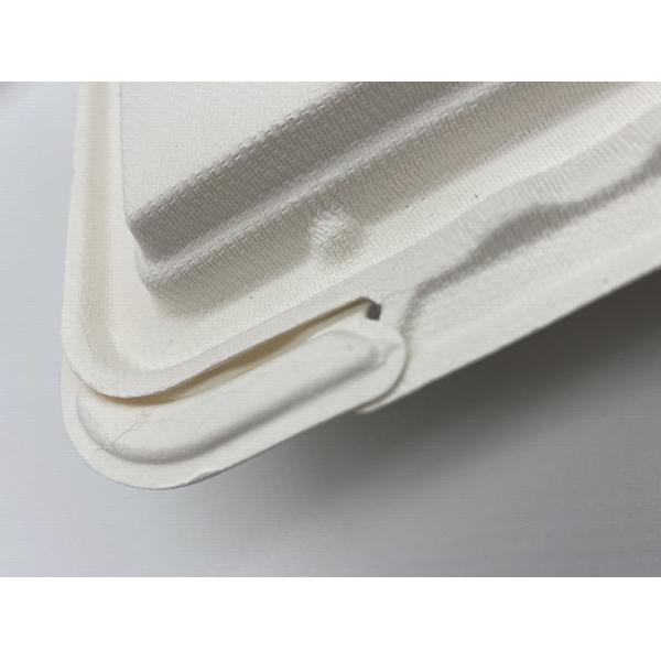 Renewable 9x6 Inch 39g Biodegradable Takeout Containers