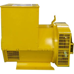 China Diesel Ac Self Exciting Generator on sale