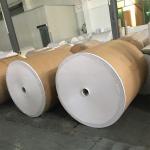 Non-stick Unbleached Parchment Silicone Baking Paper Roll Category Paper for