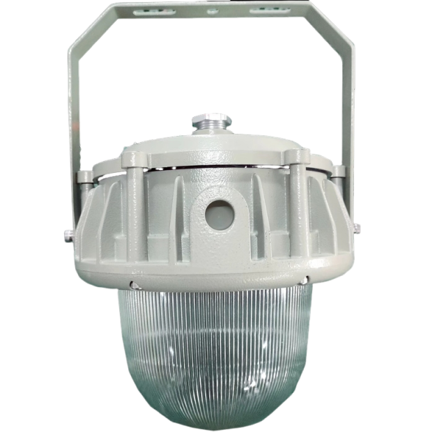 Hazardous Area Lighting Aluminum Aolly IP66 50-100W High Efficiency LED