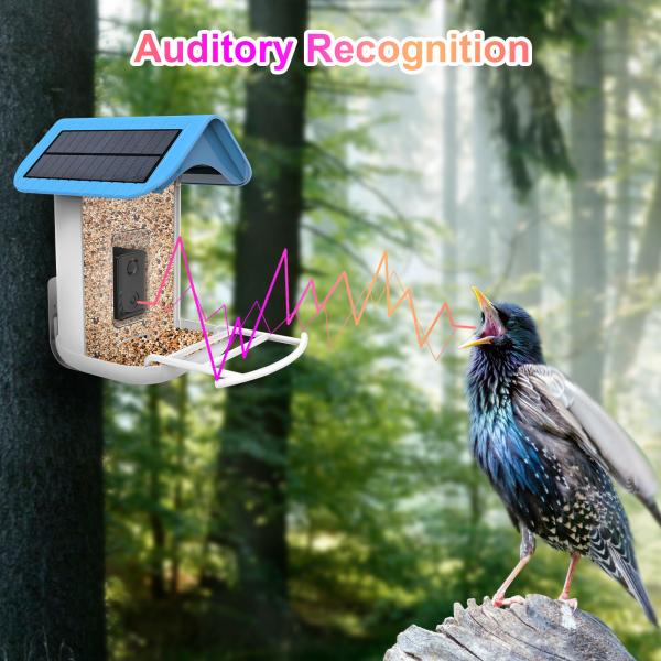 Quality House Standing Solar Powered Smart Bird Feeder with Trail Camera wholesale