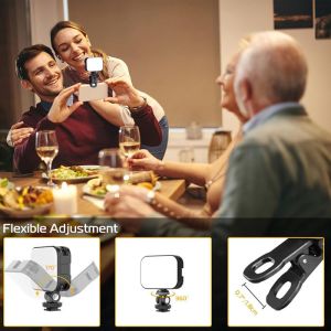 Rechargeable LED Portable Fill Light 12w With Adjustable Angle And Usb Power