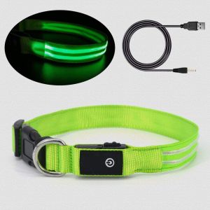 Sturdy Durable LED Dog Collar USB Rechargeable Customized 5 Sizes Option