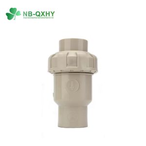 DDCV Double Lobe Function PPH Single Union Non Return Check Valve for Pipe