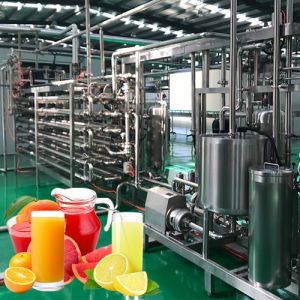 1-100T/D citrus processing line orange lemon juice making machine production