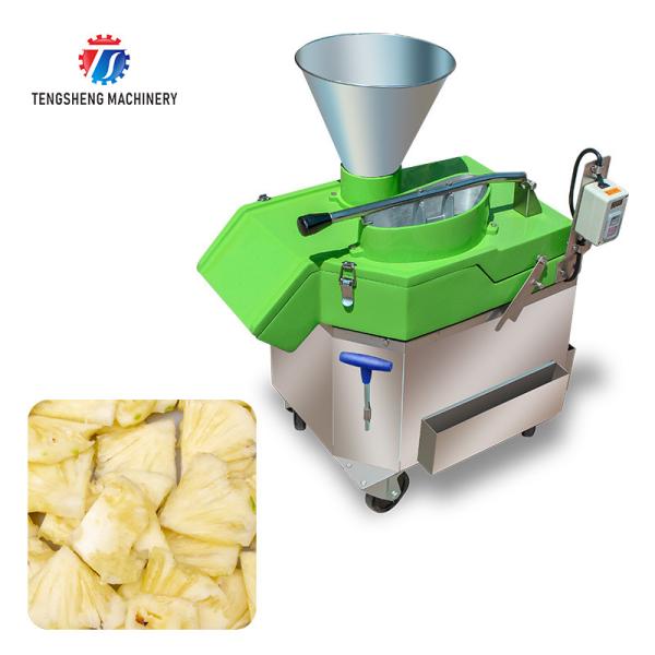Quality 1000KG/H 80KG Multi-function vegetable cutting machine apple dragon fruit slice machine vertical lemon slicer wholesale