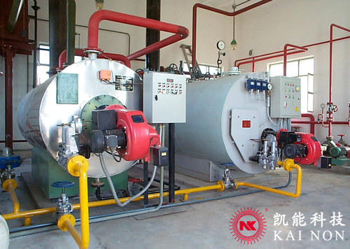 Oil Gas Fired Boiler System 1T,2T,4T Horizontal Hotel Residential Support