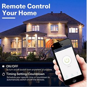 Wifi Smart Plug, With 2 USB Charger(5V, 2.1A), Work with Amazon Alexa & Google