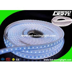 Waterproof SMD 5050 LED Flexible Strip Lights 5m Led Tape Light For Underground