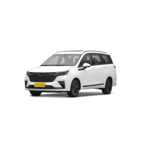 Wuling Jiachen Lithium Battery Hybrid Electric Car with 5-door 7-seat Body
