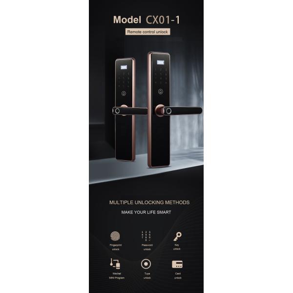 DC 6V Fingerprint Access Door Lock