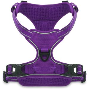 Maximum Control D Rings Multiple Layers Nylon Dog Harness