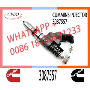 China Diesel Engine Fuel Injector 3411752 3084589 3087557 For CUMMINS ISM QSM M11 Engine on sale
