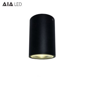 China IP65 waterproof ceiling mounted outdoor 12W COB LED downlight&exterior LED down light on sale