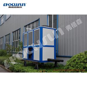 Focusun Artificial Ski Snow Park Snow World Ice Making Machine with Core