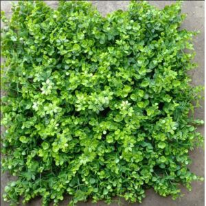 Cheap Artificial Wall Grass Enhancing Aesthetic Appeal For Offices Homes Places Like Cafe And Resturants for sale